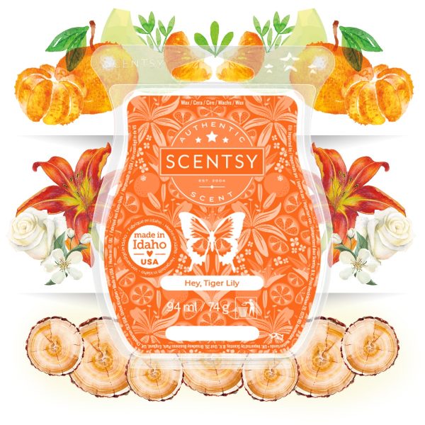 Hey, Tiger Lily Scentsy Bar Styled