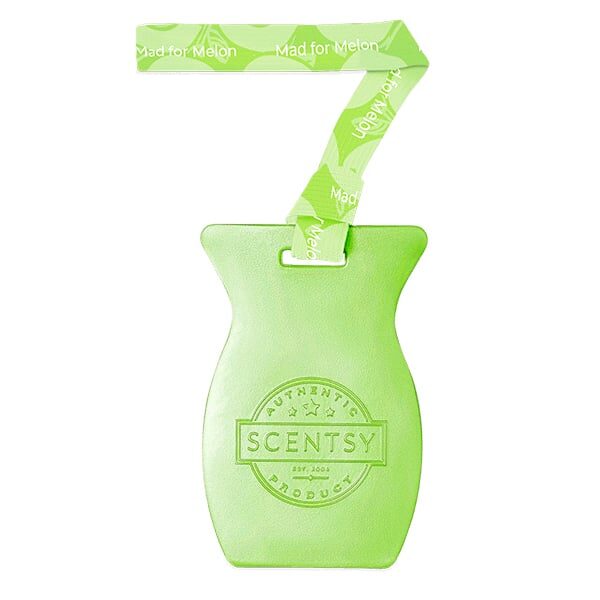 Mad for Melon Scentsy Car Bar