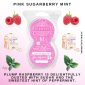 Pink Sugarberry Mint Scentsy Pods