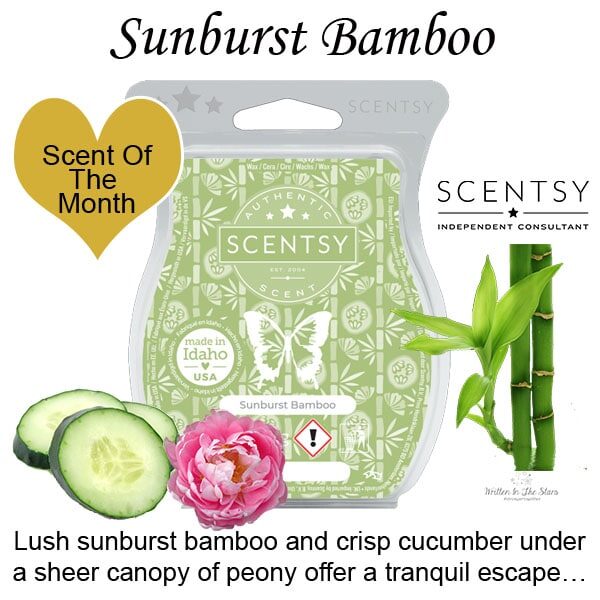 Sunburst Bamboo Scentsy Bar