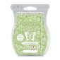 Sunburst Bamboo Scentsy Bar