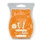 Cranberry Pumpkin Spice Scentsy Bar