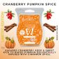 Cranberry Pumpkin Spice Scentsy Bar