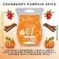 Cranberry Pumpkin Spice Scentsy Bar