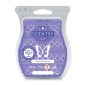 Kukui & Coconut Scentsy Bar