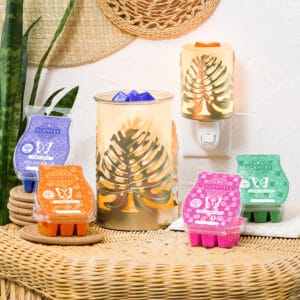 Scentsy 2022 Summer Collection