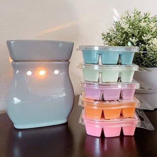 Classic Curve – Gloss Gray Scentsy Warmer With 5 FREE Bars