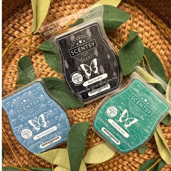 Father’s Day Collection Scentsy Bar Bundle