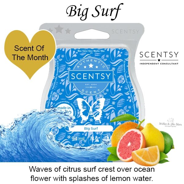 Big Surf Scentsy Bar