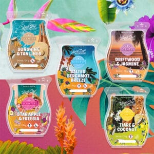Island Days Scentsy Wax Collection Bundle