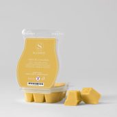 Tiare & Coconut Scentsy Bar
