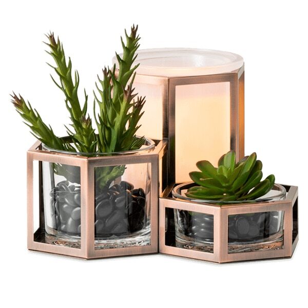 Wild Desert Scentsy Warmer