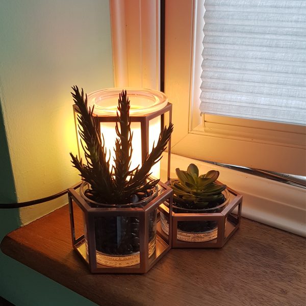 Wild Desert Scentsy Warmer