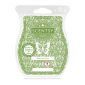 Pear-fect Day Scentsy Bar