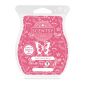 Pink Pine & Berry Scentsy Bar