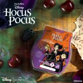 Sanderson Sisters: Perfectly Wicked – Scentsy Bar