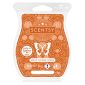 Warm Pumpkin Drizzle Scentsy Bar