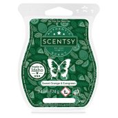 Sweet Orange & Evergreen Scentsy Bar