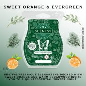 Sweet Orange Evergreen Scentsy Wax Bar