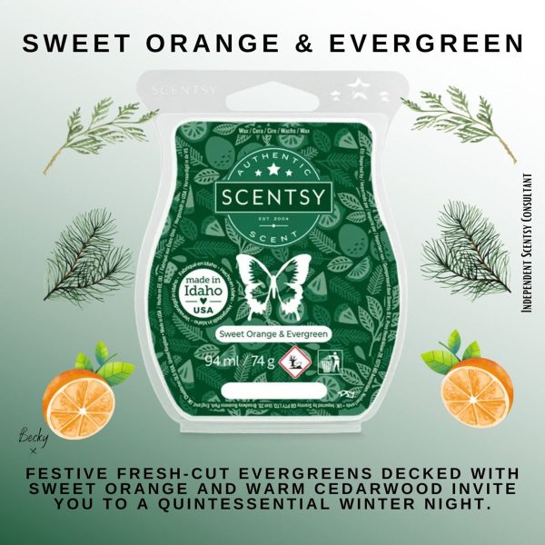 Sweet Orange Evergreen Scentsy Wax Bar