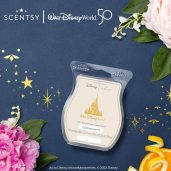 EARidescent Scentsy Wax Melt