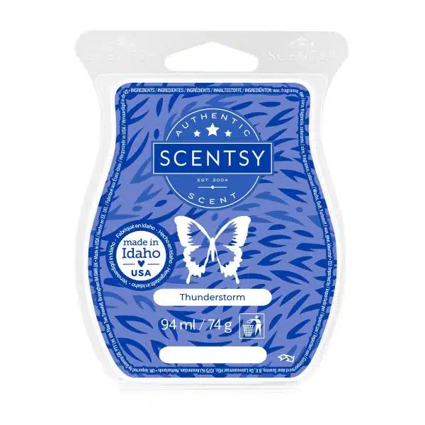 Thunderstorm Scentsy Bar