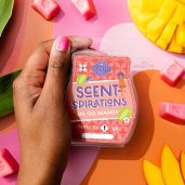 Go, Go, Mango Scentsy Bar