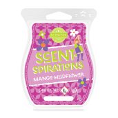 Mango Wildflower Scentsy Bar