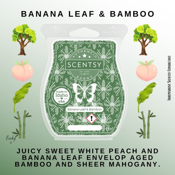 Banana Leaf & Bamboo Scentsy Bar
