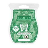 Peace (Lily) Be With You Scentsy Bar