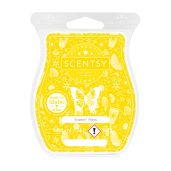 Soakin' Rays Scentsy Bar