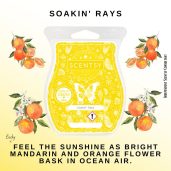 Soakin' Rays Scentsy Bar