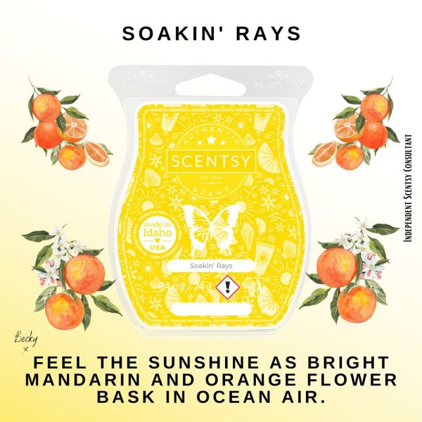 Soakin' Rays Scentsy Bar