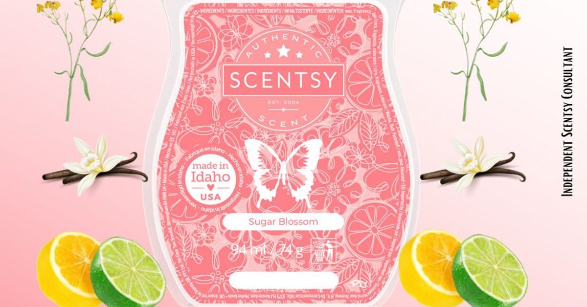 Sugar Blossom Scentsy Bar The Candle Boutique Scentsy UK Consultant