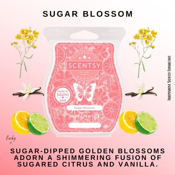 Sugar Blossom Scentsy Bar