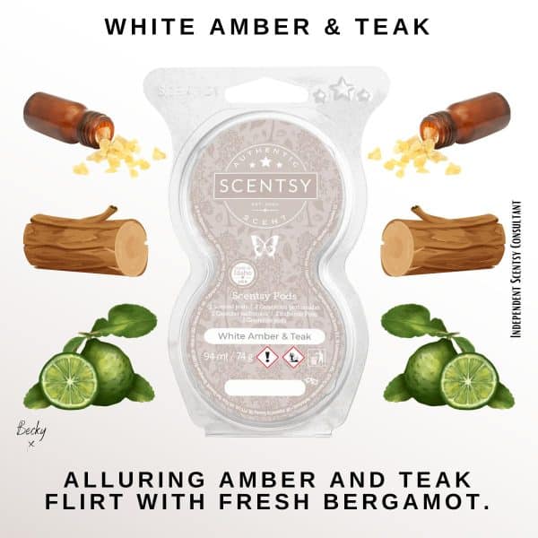 White Amber & Teak Scentsy Pod Twin Pack