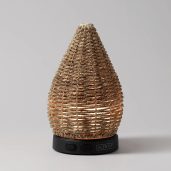 Wonder Scentsy Diffuser