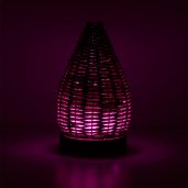 Wonder Scentsy Diffuser