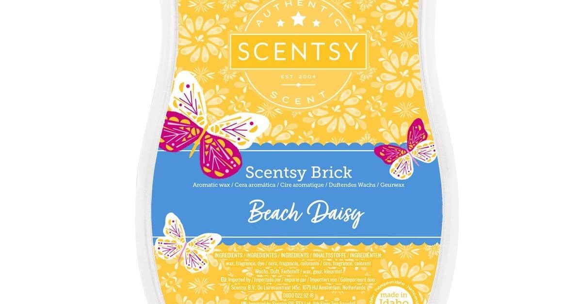 Beach Daisy Scentsy Brick - The Candle Boutique - Scentsy UK