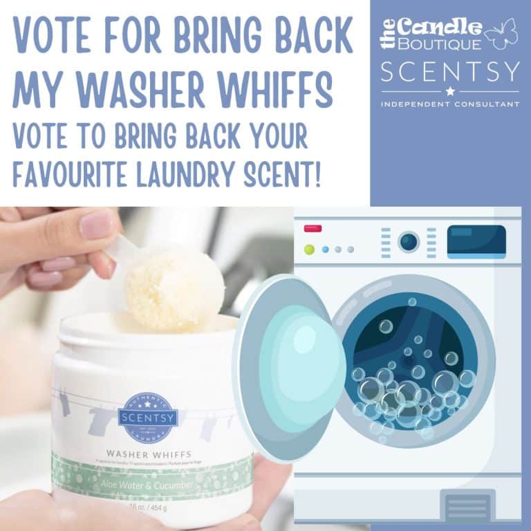 Vote for Bring Back My Washer Whiffs