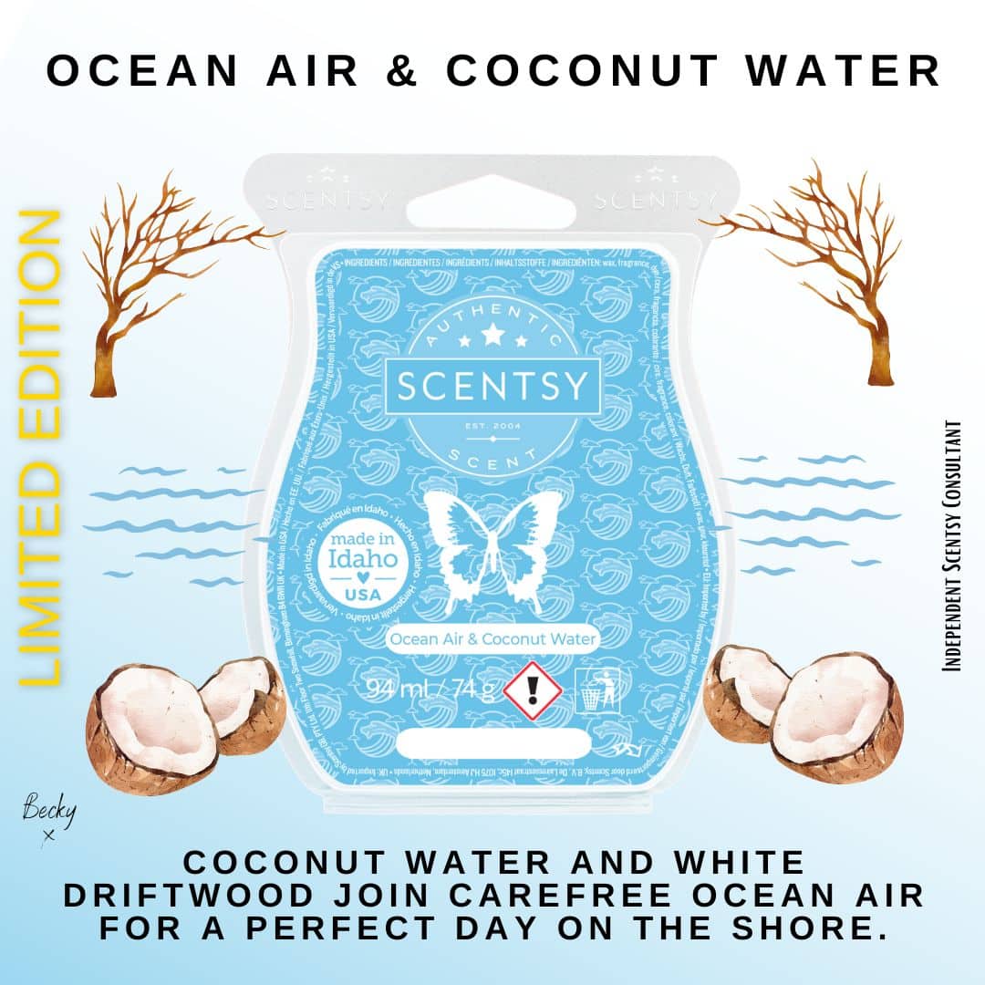 Ocean Air & Coconut Water Scentsy Bar - The Candle Boutique - Scentsy ...