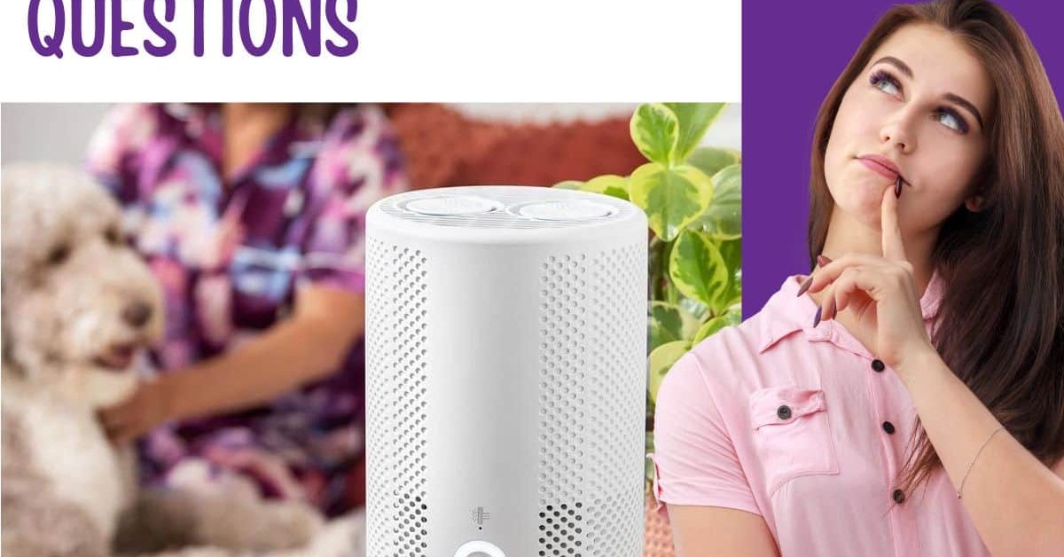Scentsy Air Purifier Frequently Asked Questions The Candle Boutique