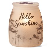 Summertime Scentsy Warmer