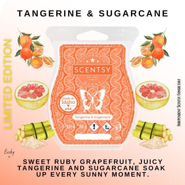 Tangerine & Sugarcane Scentsy Bar