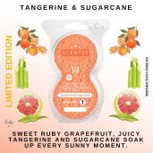 Tangerine & Sugarcane Scentsy Pods