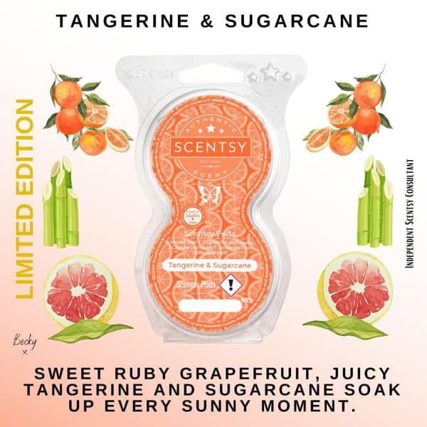 Tangerine & Sugarcane Scentsy Pods