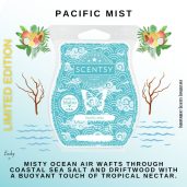 Pacific Mist Scentsy Bar