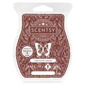 Cashmere Leaves Scentsy Bar