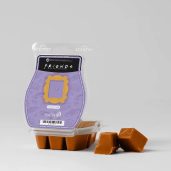 Friends™ – Scentsy Bar