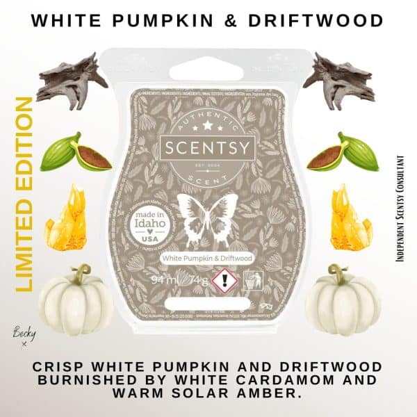 White Pumpkin & Driftwood Scentsy Wax Melt Bar